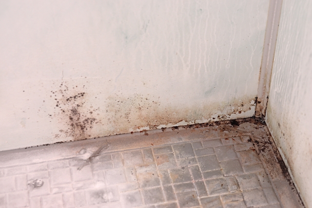 重曹を使ったおすすめの掃除方法