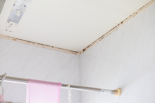 天井を掃除してお風呂全体をキレイに保つ！