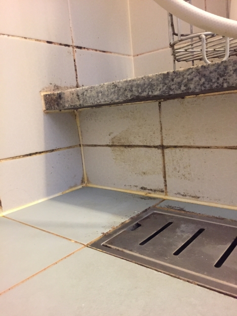 浴室クリーニング：掃除道具と費用