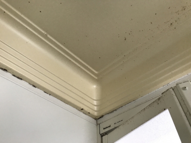 浴室クリーニング：DIY掃除方法