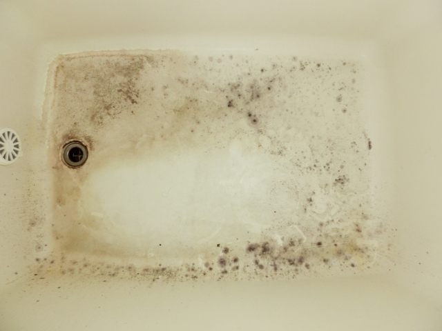 浴室クリーニングのDIYは簡単なの！？どうすればいいの？