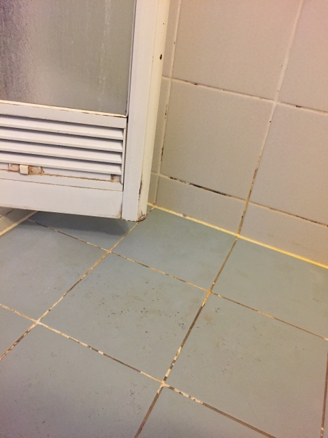 浴室クリーニングで忘れがちな場所の掃除