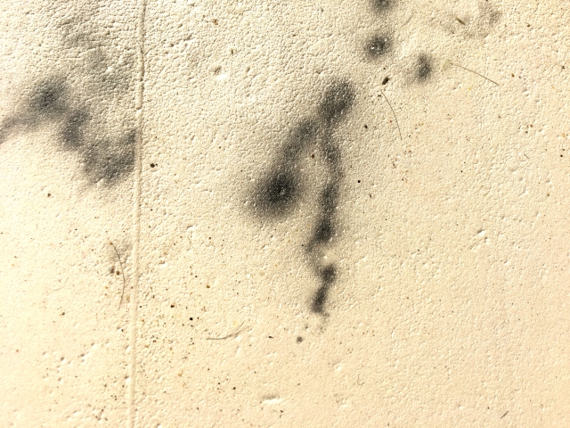 浴室クリーニング以降のカビ予防におすすめのグッズ