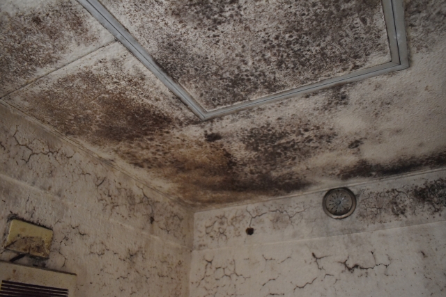 浴室クリーニング：壁の基本的な掃除方法